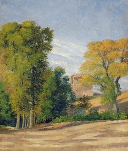 paisagem